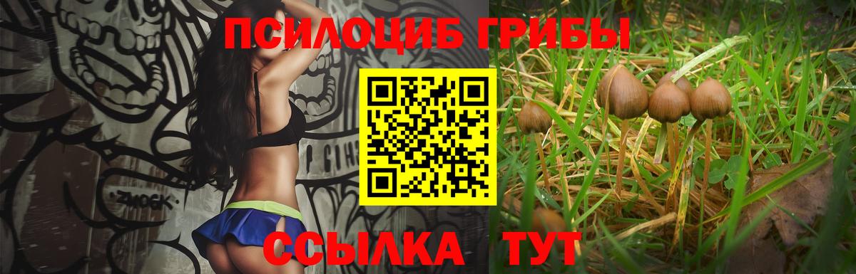 Петровск  Галлюциногенные грибы ЛСД  Вход с VPN 