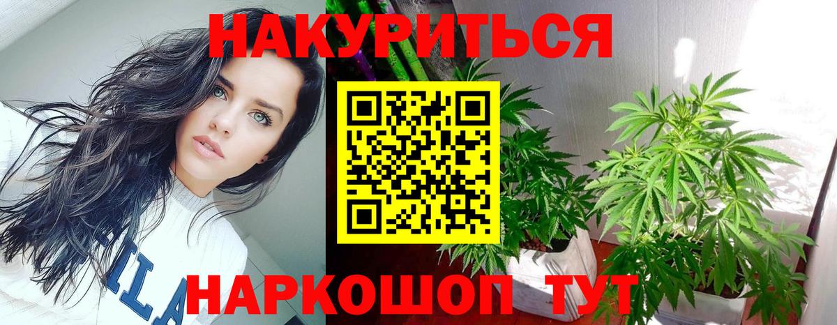 Канабис SATIVA & INDICA  Каннабис план  Петровск  Канабис план  Вход с VPN 
